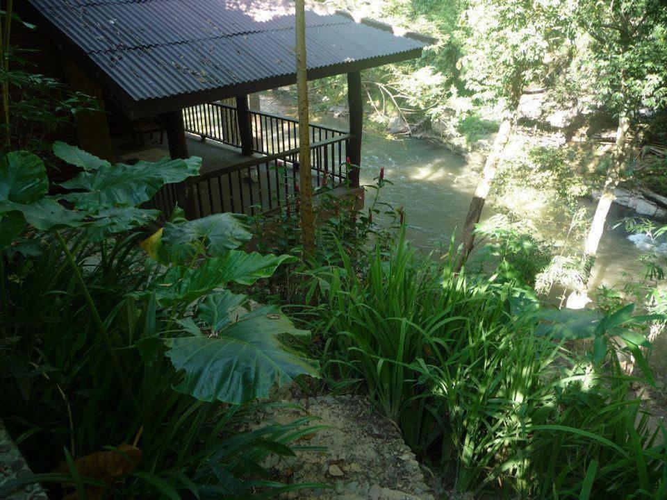 The Chai Lai Orchid Hotel Чиангмай Стая снимка