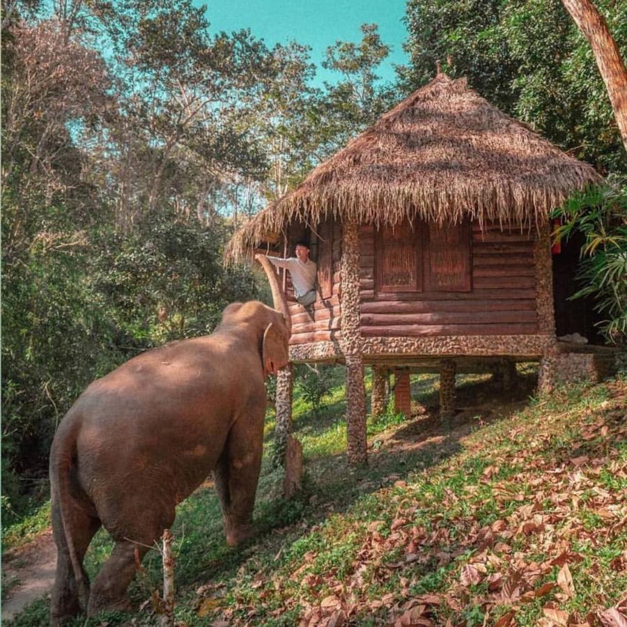 The Chai Lai Orchid Hotel Чиангмай Екстериор снимка